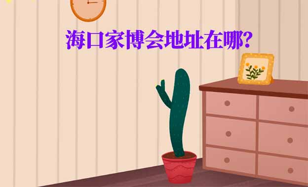 2025年?？诩也刂吩谀?？