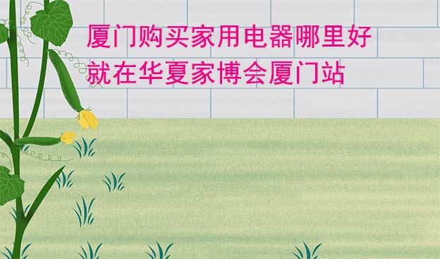 廈門購買家用電器哪里好_就在華夏家博會廈門站